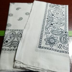 Old Fashioned Handkerchief 22" Square Set of 2